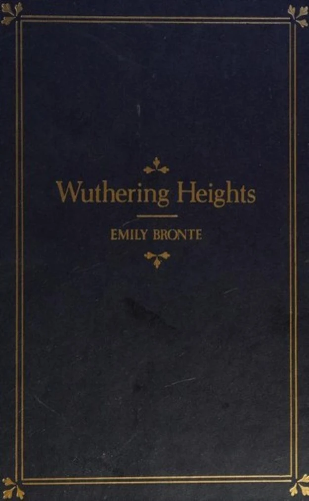 Wild Courage book cover 